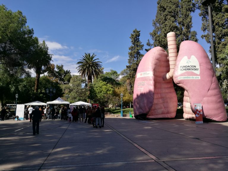 Asma2018_1-768×576-1